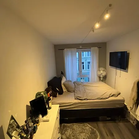 In Gruenerlokka Apartment